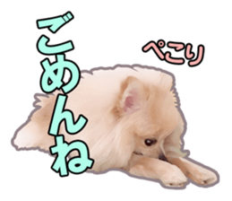 Dog lovely scent2 sticker #13366306