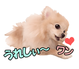 Dog lovely scent2 sticker #13366308