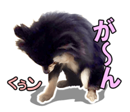 Dog lovely scent2 sticker #13366309