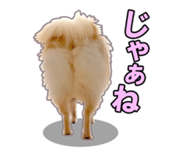 Dog lovely scent2 sticker #13366311