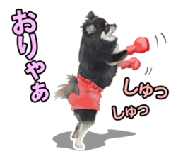 Dog lovely scent2 sticker #13366312