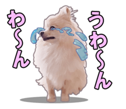 Dog lovely scent2 sticker #13366313