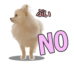 Dog lovely scent2 sticker #13366315