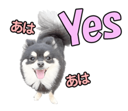 Dog lovely scent2 sticker #13366316