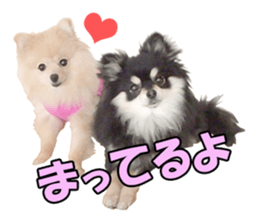 Dog lovely scent2 sticker #13366318