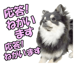 Dog lovely scent2 sticker #13366322