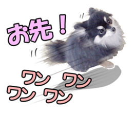 Dog lovely scent2 sticker #13366323