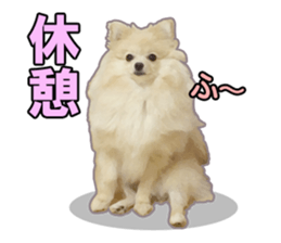 Dog lovely scent2 sticker #13366324