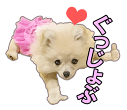 Dog lovely scent2 sticker #13366326