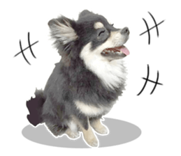 Dog lovely scent2 sticker #13366330