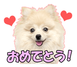 Dog lovely scent2 sticker #13366331