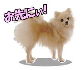 Dog lovely scent2 sticker #13366333