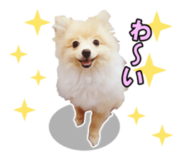Dog lovely scent2 sticker #13366337