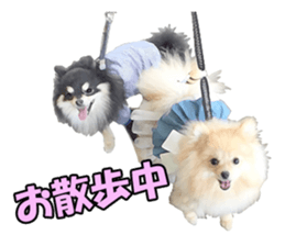 Dog lovely scent2 sticker #13366341