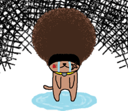 The Seven Afro Cats #3 -Boxing cat- sticker #13367255