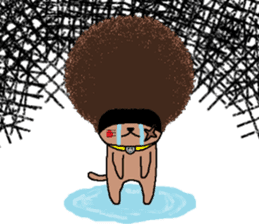The Seven Afro Cats #3 -Boxing cat- sticker #13367255