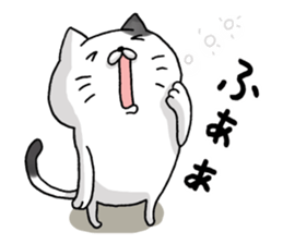 Sticker for cat lovers sticker #13367368