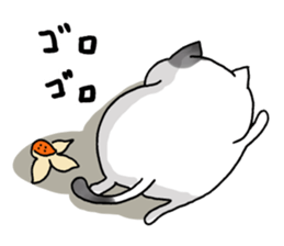 Sticker for cat lovers sticker #13367373