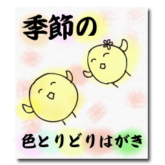 Chick of the season postcard