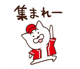 Red cap cat sticker #13369307