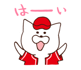 Red cap cat sticker #13369330