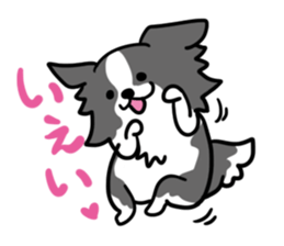 BORDER COLLIE & Friends sticker #13369534