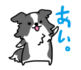 BORDER COLLIE & Friends sticker #13369535