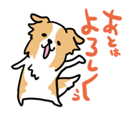 BORDER COLLIE & Friends sticker #13369538