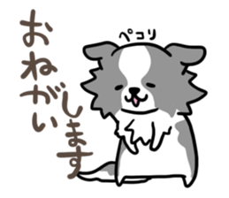 BORDER COLLIE & Friends sticker #13369539