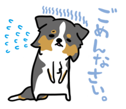 BORDER COLLIE & Friends sticker #13369540