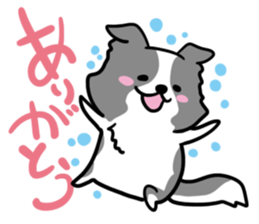 BORDER COLLIE & Friends sticker #13369541