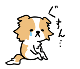 BORDER COLLIE & Friends sticker #13369542