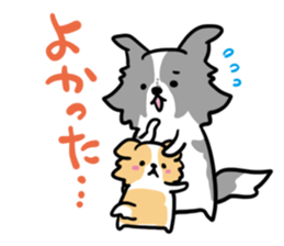 BORDER COLLIE & Friends sticker #13369543