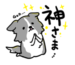 BORDER COLLIE & Friends sticker #13369546