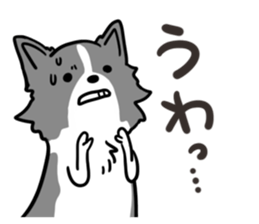 BORDER COLLIE & Friends sticker #13369549