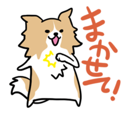 BORDER COLLIE & Friends sticker #13369550