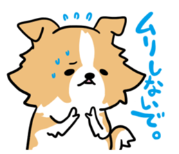 BORDER COLLIE & Friends sticker #13369551