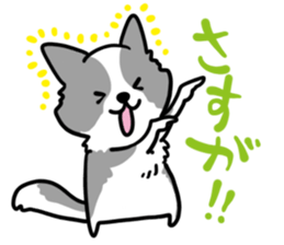 BORDER COLLIE & Friends sticker #13369552