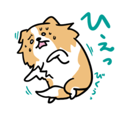 BORDER COLLIE & Friends sticker #13369553