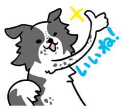 BORDER COLLIE & Friends sticker #13369555