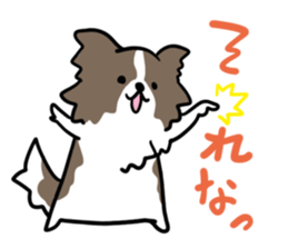 BORDER COLLIE & Friends sticker #13369556