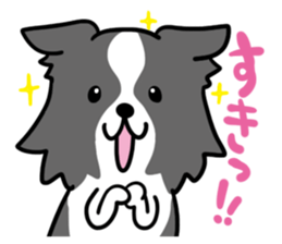 BORDER COLLIE & Friends sticker #13369558