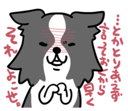 BORDER COLLIE & Friends sticker #13369559