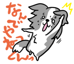 BORDER COLLIE & Friends sticker #13369560