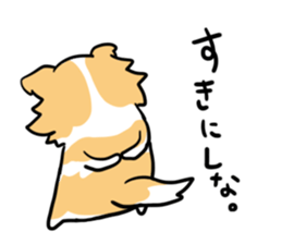 BORDER COLLIE & Friends sticker #13369561