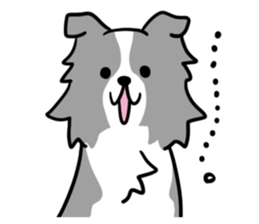 BORDER COLLIE & Friends sticker #13369562