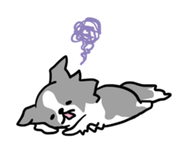 BORDER COLLIE & Friends sticker #13369565