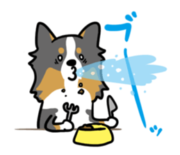 BORDER COLLIE & Friends sticker #13369567