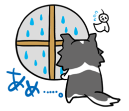 BORDER COLLIE & Friends sticker #13369570