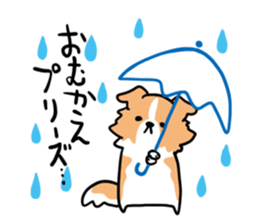 BORDER COLLIE & Friends sticker #13369571